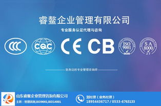 濱州管理體系咨詢的明智之選 高性價比與專業(yè)服務兼得